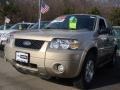 2007 Dune Pearl Metallic Ford Escape XLT V6 4WD  photo #1