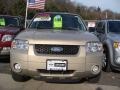 2007 Dune Pearl Metallic Ford Escape XLT V6 4WD  photo #2