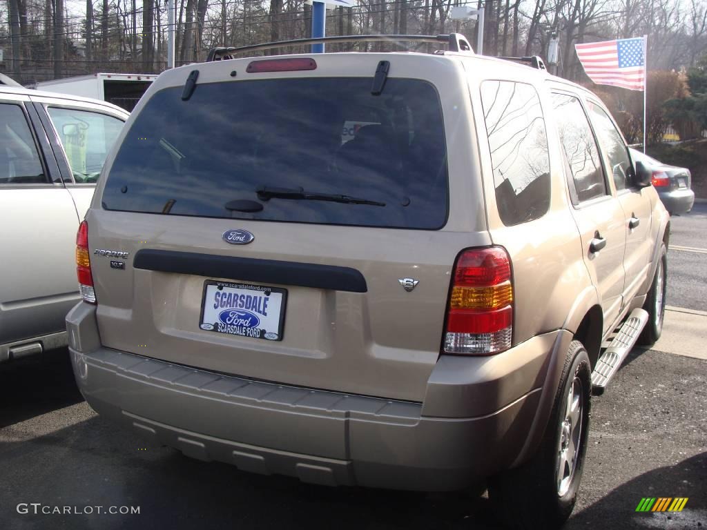 2007 Escape XLT V6 4WD - Dune Pearl Metallic / Medium/Dark Pebble photo #4