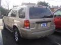 2007 Dune Pearl Metallic Ford Escape XLT V6 4WD  photo #6