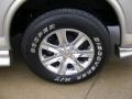 Light Pewter Metallic - Express 1500 LS Passenger Conversion Van Photo No. 13