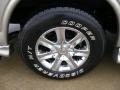 Light Pewter Metallic - Express 1500 LS Passenger Conversion Van Photo No. 14
