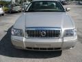 2008 Silver Birch Metallic Mercury Grand Marquis LS  photo #6