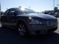 Ocean Gray - Maxima 3.5 SV Premium Photo No. 7