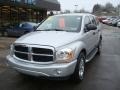 2005 Bright Silver Metallic Dodge Durango Limited 4x4  photo #13