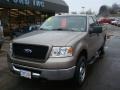2006 Arizona Beige Metallic Ford F150 XLT SuperCab 4x4  photo #12