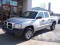 Mineral Gray Metallic - Dakota ST Quad Cab 4x4 Photo No. 1