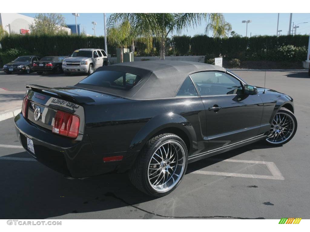 2005 Mustang V6 Premium Convertible - Black / Dark Charcoal photo #13