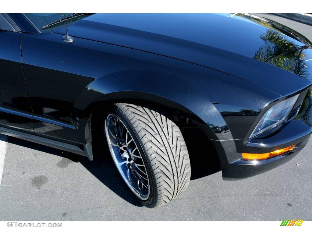 2005 Mustang V6 Premium Convertible - Black / Dark Charcoal photo #15