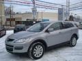 Liquid Platinum Metallic - CX-9 Touring AWD Photo No. 1