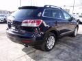 2009 Stormy Blue Mica Mazda CX-9 Touring AWD  photo #5