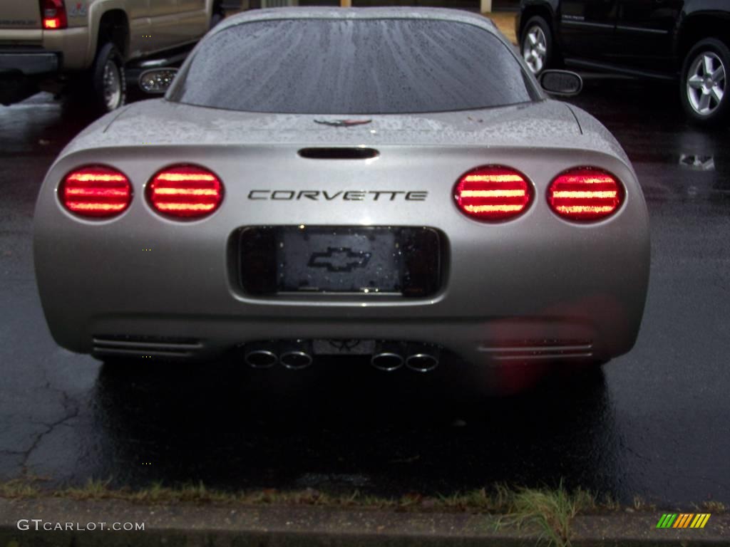2001 Corvette Coupe - Light Pewter Metallic / Light Oak photo #8