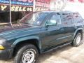 1999 Forest Green Pearlcoat Dodge Durango SLT 4x4  photo #4