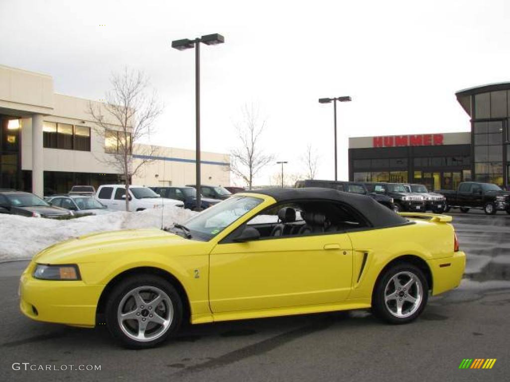2001 Mustang Cobra Convertible - Zinc Yellow Metallic / Dark Charcoal photo #2