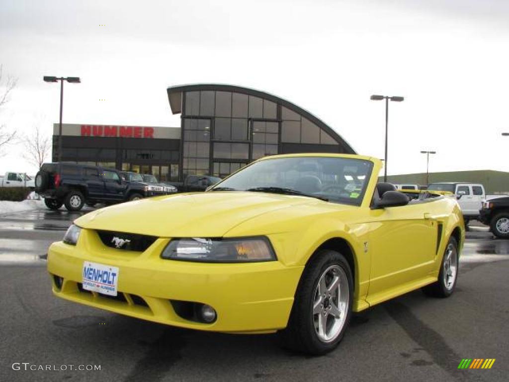 2001 Mustang Cobra Convertible - Zinc Yellow Metallic / Dark Charcoal photo #3