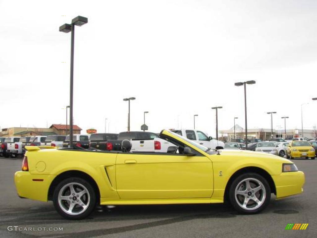 2001 Mustang Cobra Convertible - Zinc Yellow Metallic / Dark Charcoal photo #6