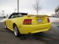 2001 Zinc Yellow Metallic Ford Mustang Cobra Convertible  photo #8