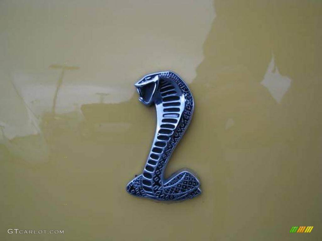2001 Mustang Cobra Convertible - Zinc Yellow Metallic / Dark Charcoal photo #11
