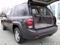 Graphite Metallic - TrailBlazer LS Photo No. 15
