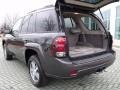 2007 Graphite Metallic Chevrolet TrailBlazer LS  photo #15