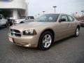 Light Sandstone Metallic - Charger SXT Photo No. 6