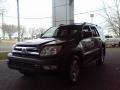 Galactic Gray Mica - 4Runner SR5 Photo No. 19