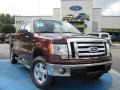 2010 Royal Red Metallic Ford F150 XLT SuperCrew 4x4  photo #1