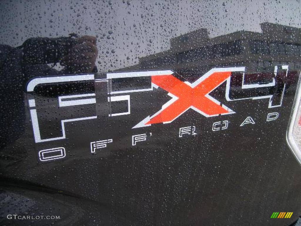 2010 F150 FX4 SuperCrew 4x4 - Tuxedo Black / Black photo #9