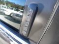 Alloy Grey Metallic - Taurus SEL Photo No. 4