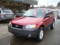 2005 Redfire Metallic Ford Escape XLT V6 4WD  photo #11