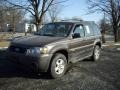 2006 Dark Stone Metallic Ford Escape XLS 4WD  photo #1