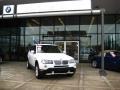 Alpine White - X3 3.0si Photo No. 2