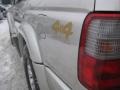 Millennium Silver Metallic - 4Runner Limited 4x4 Photo No. 8