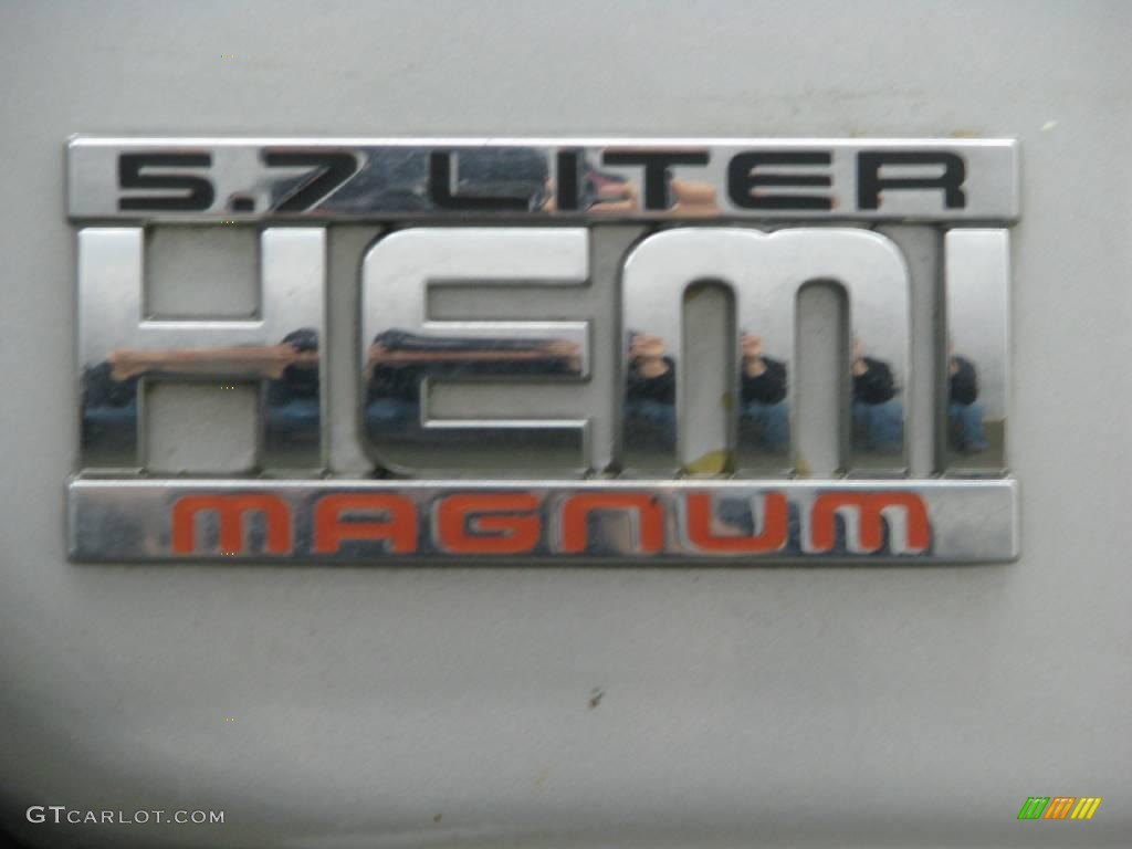 2004 Ram 1500 SLT Regular Cab 4x4 - Bright Silver Metallic / Dark Slate Gray photo #15