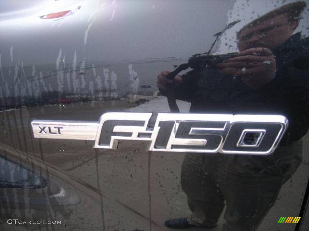 2010 F150 XLT SuperCrew 4x4 - Tuxedo Black / Medium Stone photo #9