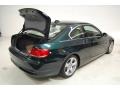 2008 Deep Green Metallic BMW 3 Series 328i Coupe  photo #11