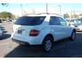 Alabaster White - ML 350 4Matic Photo No. 16