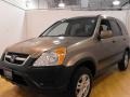 2004 Mojave Mist Metallic Honda CR-V EX 4WD  photo #1
