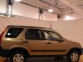 2004 Mojave Mist Metallic Honda CR-V EX 4WD  photo #5
