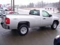 2010 Sheer Silver Metallic Chevrolet Silverado 1500 Regular Cab 4x4  photo #3