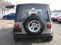 Silverstone Metallic - Wrangler SE 4x4 Photo No. 6