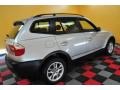Titanium Silver Metallic - X3 2.5i Photo No. 6