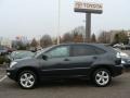 Flint Gray Mica - RX 330 AWD Photo No. 3