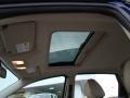 2009 Vista Blue Metallic Ford Focus SEL Sedan  photo #17