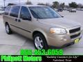 2006 Amber Bronze Metallic Chevrolet Uplander LS  photo #1