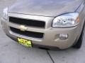 2006 Amber Bronze Metallic Chevrolet Uplander LS  photo #12