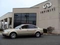 Mojave Beige Metallic - Passat GLX Sedan Photo No. 3