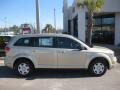 2010 White Gold Dodge Journey SE  photo #4