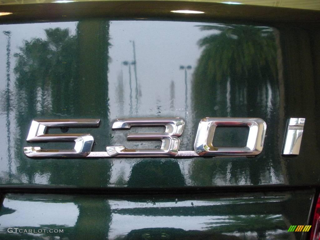 2003 5 Series 530i Sedan - Oxford Green Metallic / Sand Beige photo #9