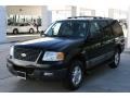 Black Clearcoat - Expedition XLT Photo No. 2
